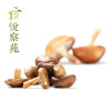 Nấm đông cô sấy giòn│Bộ 3 Gói - T86 Yue Cha Yuan