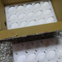 Trứng của nhà nông【SHANG FENG】