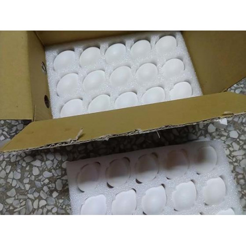 Trứng của nhà nông【SHANG FENG】 Trứng của nhà nông【SHANG FENG】