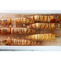 Combo tôm kuruma (tôm he Nhật Bản) hoang dã (4 hộp)【Haitiwei Seafood】