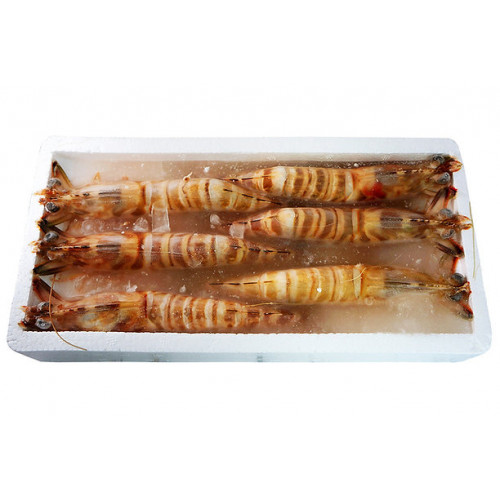 Combo tôm kuruma (tôm he Nhật Bản) hoang dã (4 hộp)【Haitiwei Seafood】 Combo tôm kuruma (tôm he Nhật Bản) hoang dã (4 hộp)【Haitiwei Seafood】