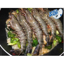  Combo tôm sú loại thượng hạng (4 hộp)【Haitiwei Seafood】