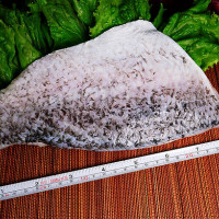 Phi lê cá chẽm Đài Loan (6 miếng)【Haitiwei Seafood】