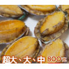 Combo bào ngư nguyên vỏ size cực lớn (4 hộp)【Haitiwei Seafood】