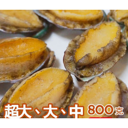 Combo bào ngư nguyên vỏ size cực lớn (4 hộp)【Haitiwei Seafood】