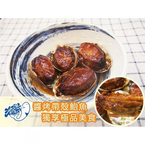 Combo bào ngư nguyên vỏ size cực lớn (4 hộp)【Haitiwei Seafood】 Combo bào ngư nguyên vỏ size cực lớn (4 hộp)【Haitiwei Seafood】