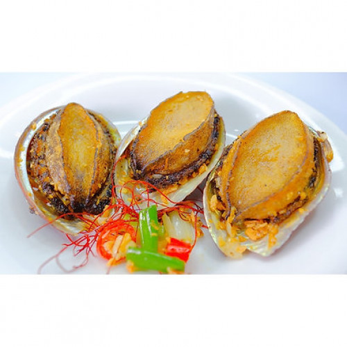 Combo bào ngư nguyên vỏ size cực lớn (4 hộp)【Haitiwei Seafood】