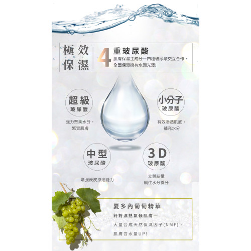 Siêu tinh essence nguyên siêu dưỡng ẩm PuraVida (5ml*6 lọ) Siêu tinh essence nguyên siêu dưỡng ẩm PuraVida (5ml*6 lọ)