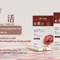  TAI LIN HUO-Peptide đa chức năng + LINH CHI (肽靈活)