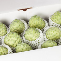 Na Dứa 6 kg (7-10 quả) - Hiệp hội nông dân Đài Đông