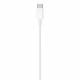 Dây cáp sạc Apple 2 đầu type c (type C sang type C) Dây cáp sạc Apple 2 đầu type c (type C sang type C)